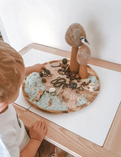 SCIENCE AND NATURE - Small Kookaburra - Image 3