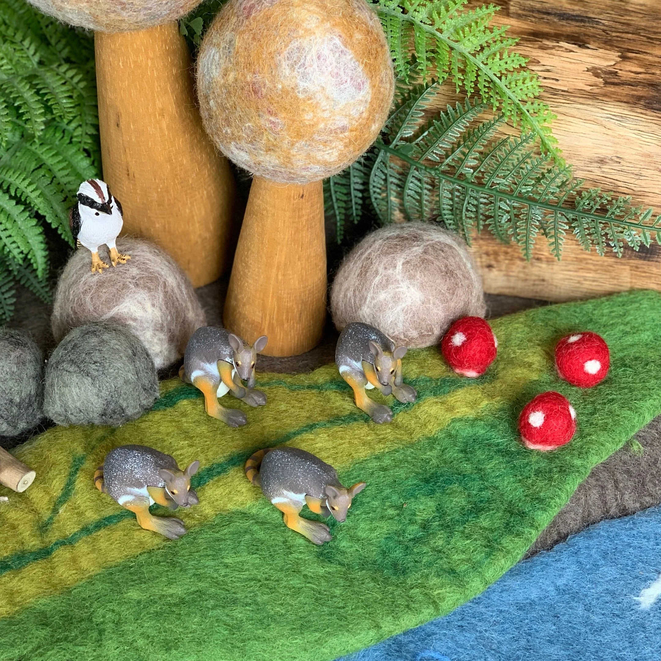 SCIENCE AND NATURE - Small Kookaburra - Image 4