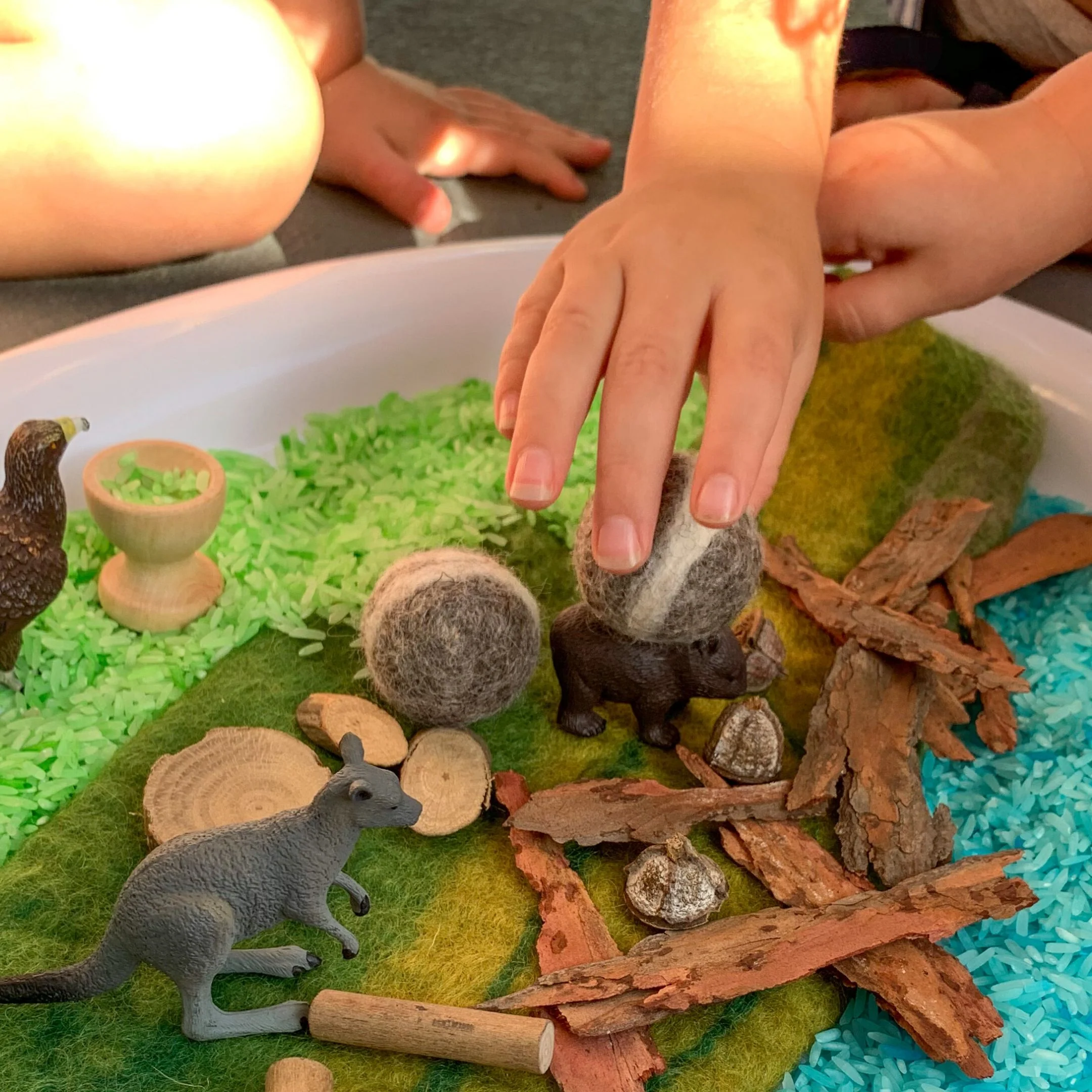 SCIENCE AND NATURE - Small Kangaroo - Image 4