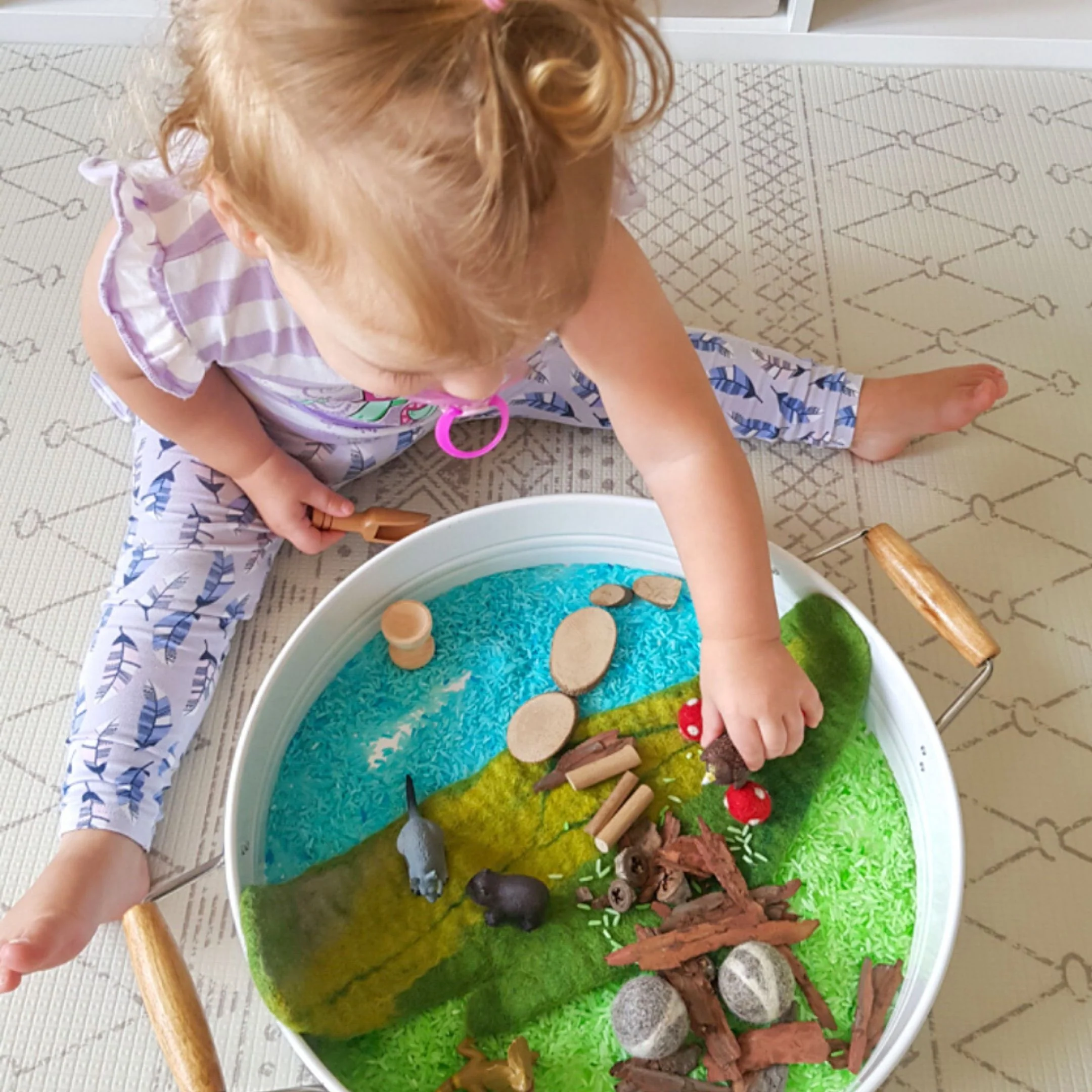 SCIENCE AND NATURE - Small Wombat - Image 3