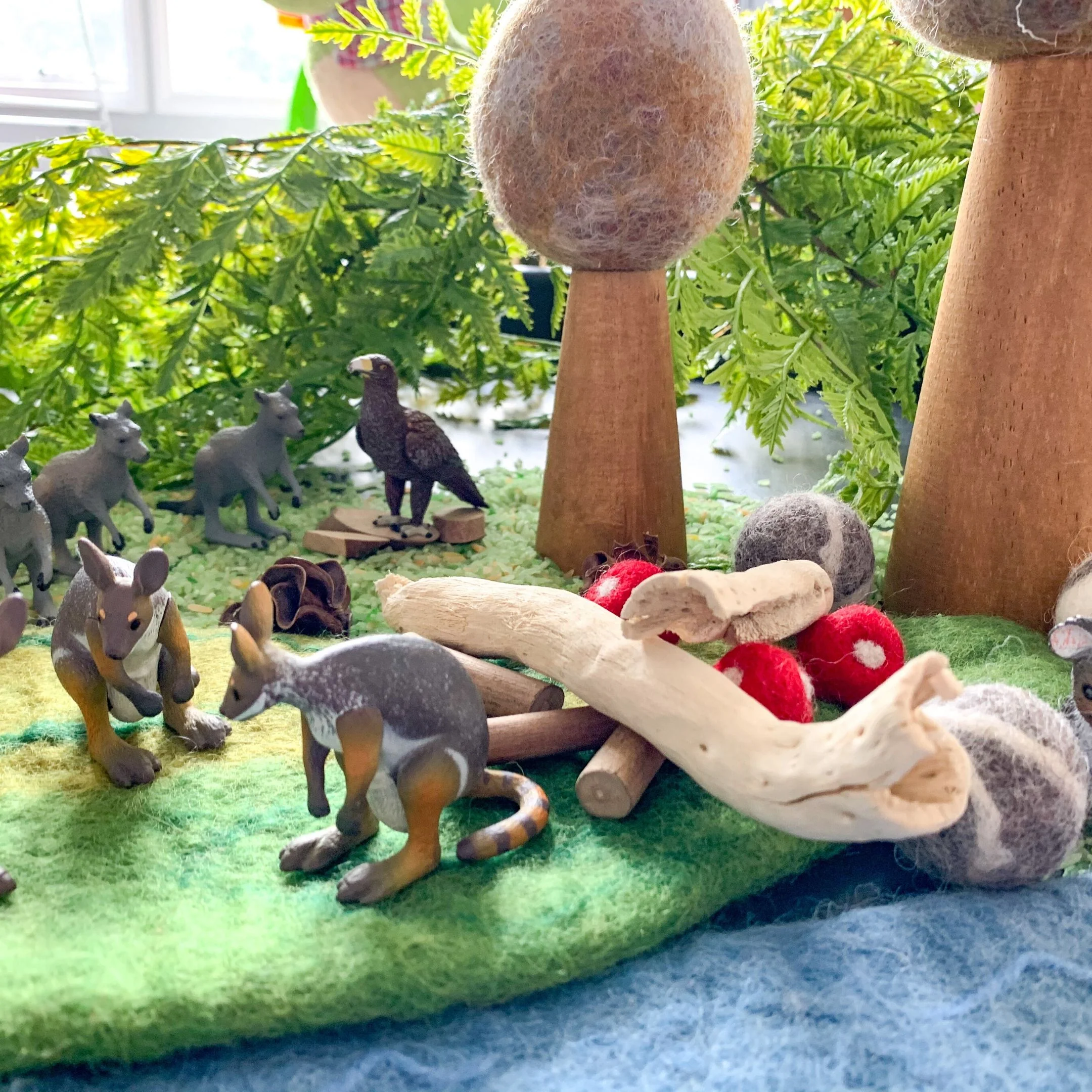 SCIENCE AND NATURE - Wedge-Tailed Eagle - Image 3